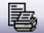 Example of the Print/Email Documents icon